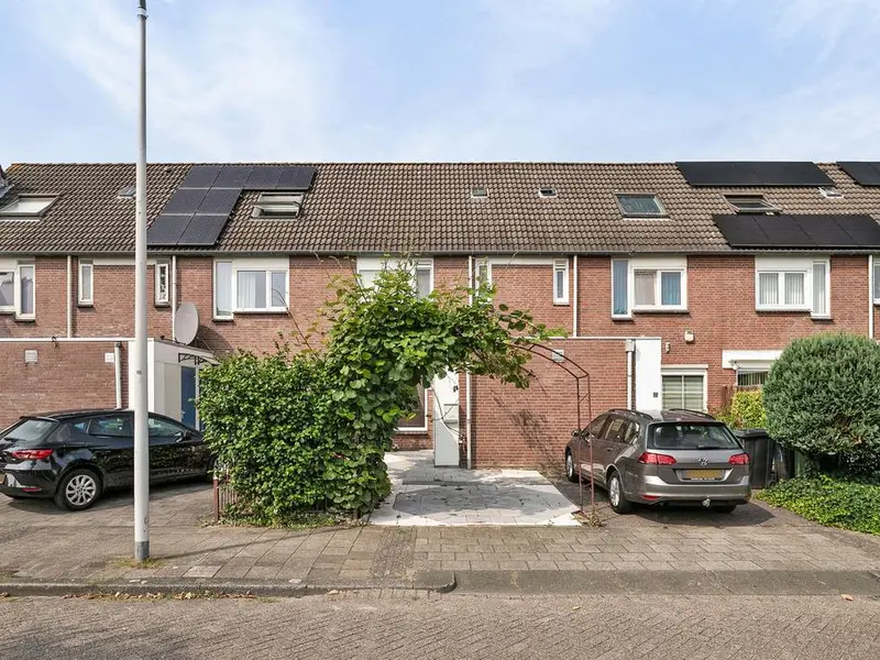 Piccolo 71, ROTTERDAM