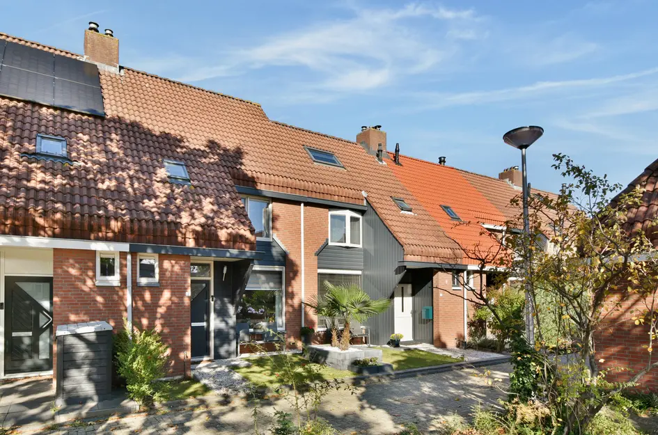 Flamingohoek 3