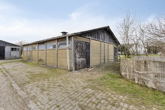 Afbeelding 18
