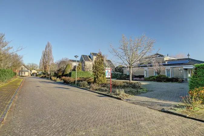 Afbeelding 5