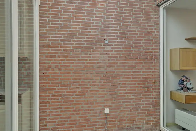 Afbeelding 5