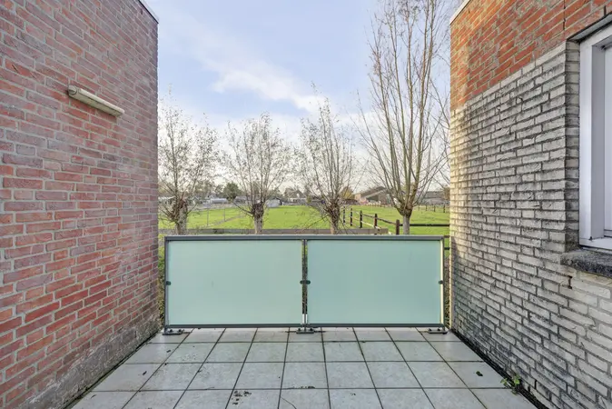 Afbeelding 15