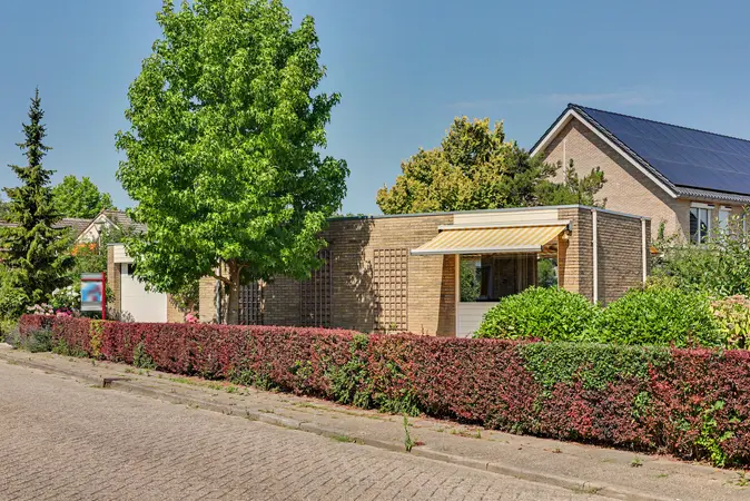 Afbeelding 12