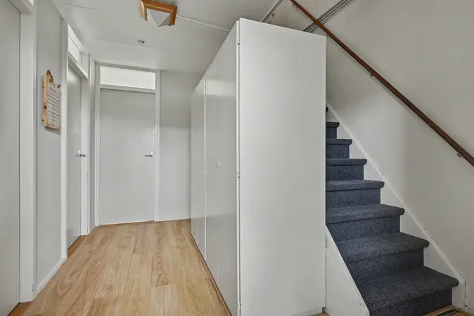 Afbeelding 5