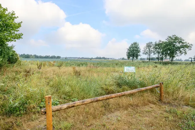Afbeelding 18