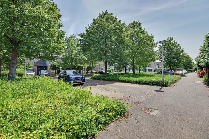Afbeelding 22
