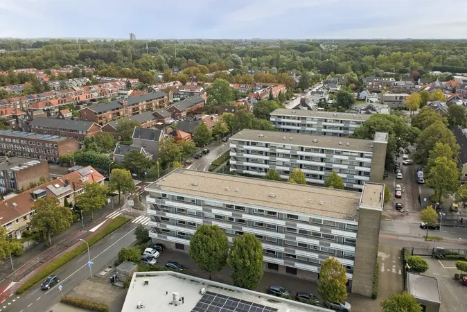 Afbeelding 31