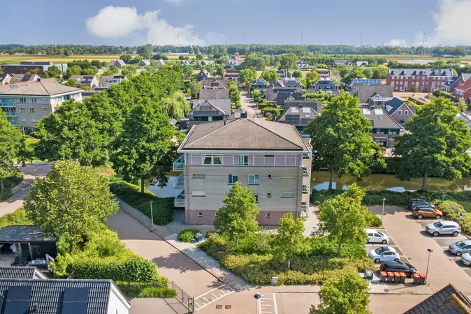 Afbeelding 19