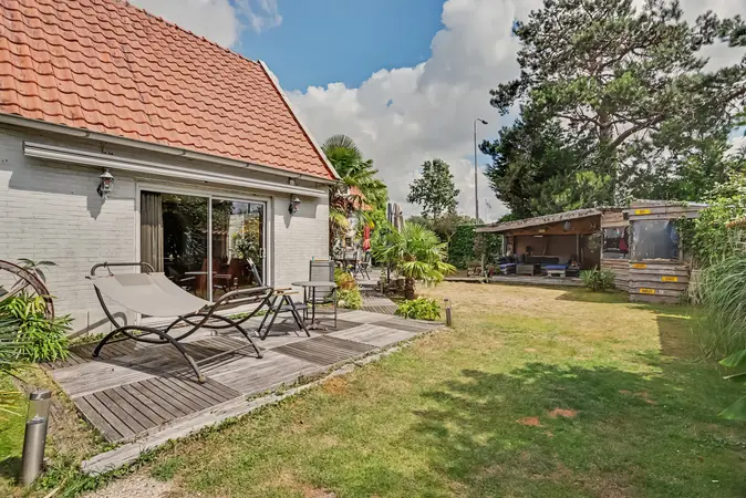 Afbeelding 38