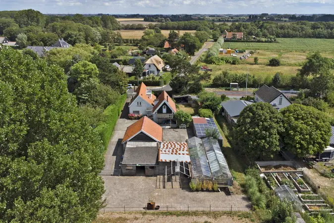 Afbeelding 50