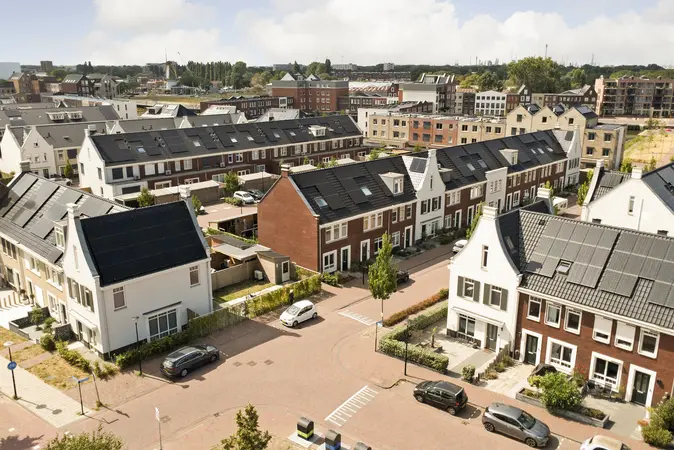 Afbeelding 19