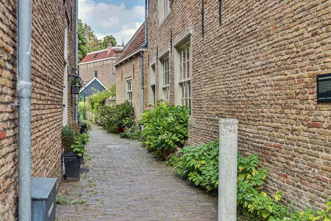 Afbeelding 48