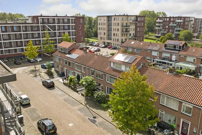 Afbeelding 21
