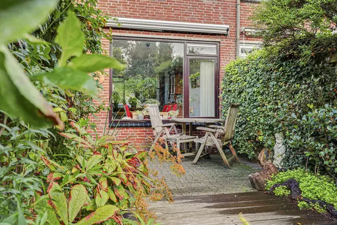 Afbeelding 25