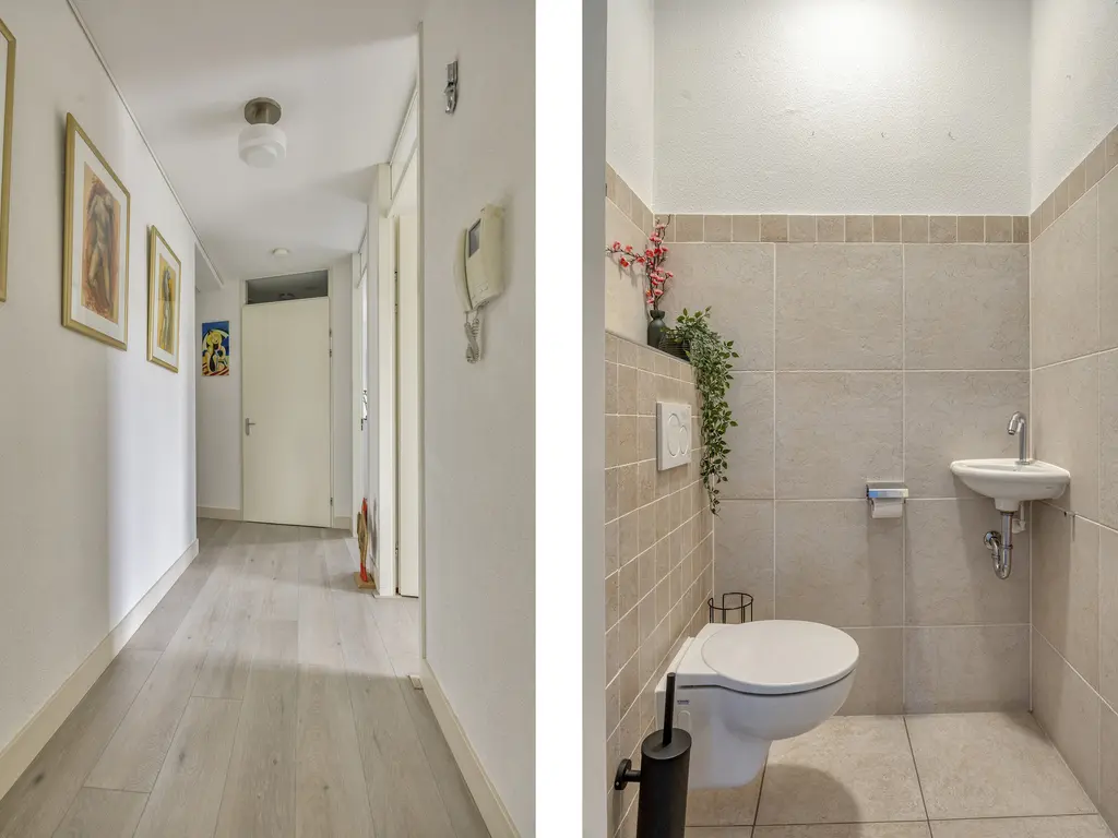 Wijnruitstraat 381, Hoogvliet
