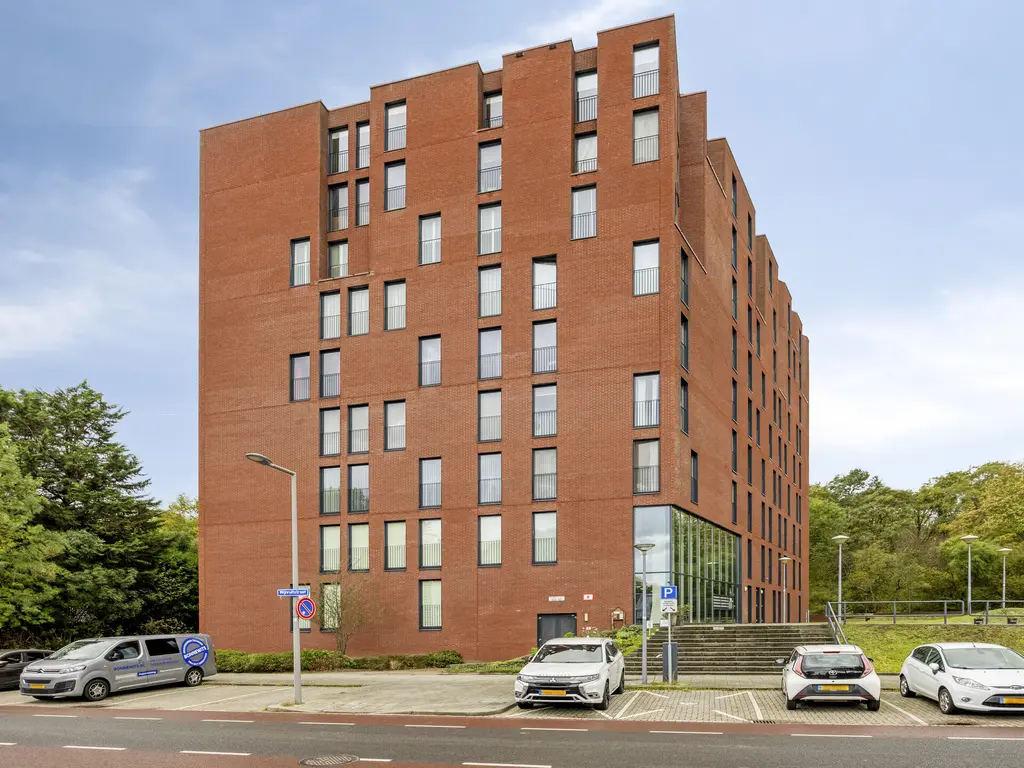 Wijnruitstraat 381, Hoogvliet