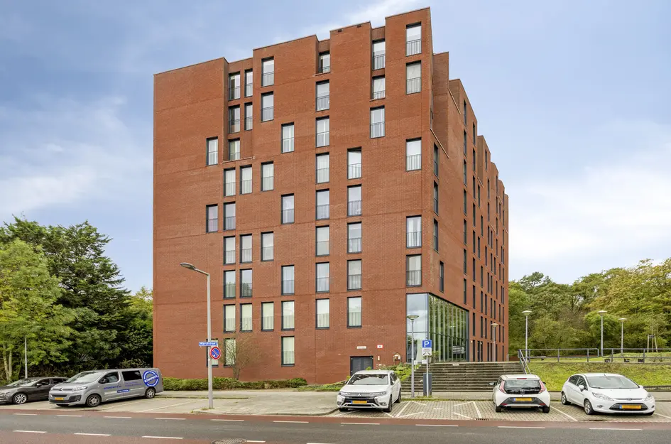 Wijnruitstraat 381