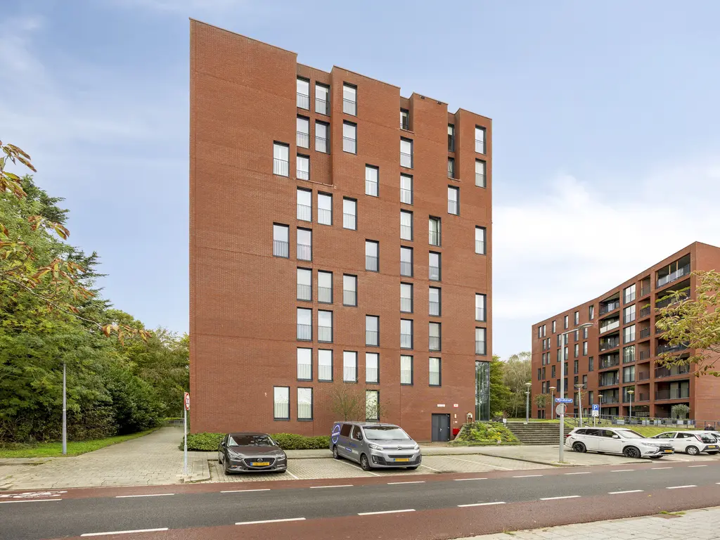 Wijnruitstraat 381, Hoogvliet