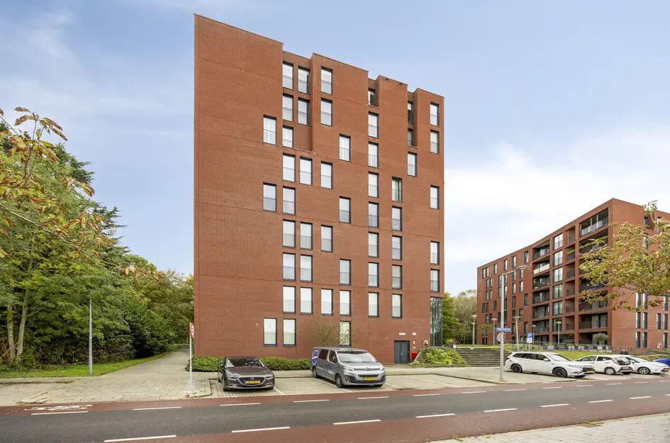 Wijnruitstraat 381