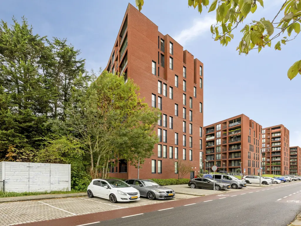 Wijnruitstraat 381, Hoogvliet