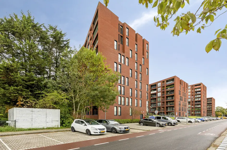 Wijnruitstraat 381