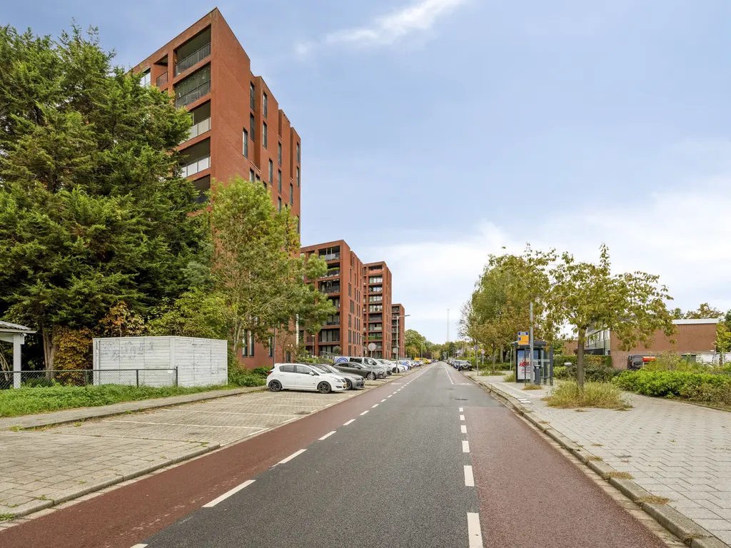 Wijnruitstraat 381, Hoogvliet