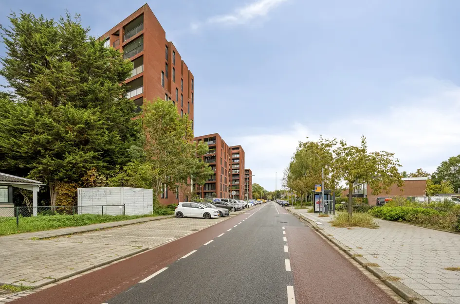 Wijnruitstraat 381