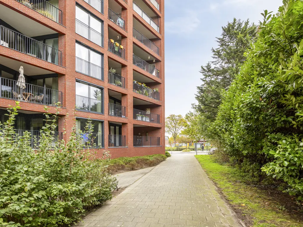 Wijnruitstraat 381, Hoogvliet