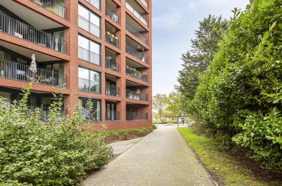 Wijnruitstraat 381
