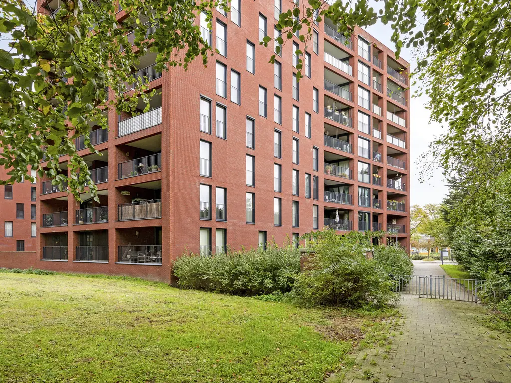 Wijnruitstraat 381, Hoogvliet