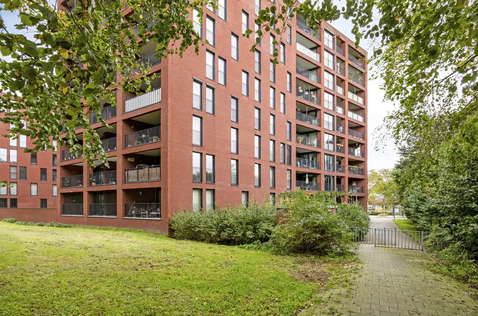 Wijnruitstraat 381