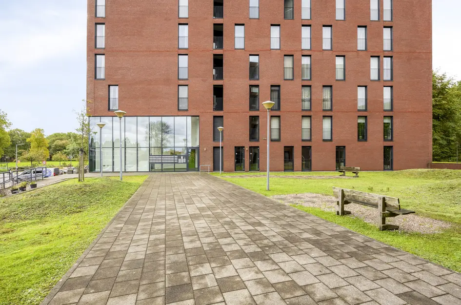 Wijnruitstraat 381