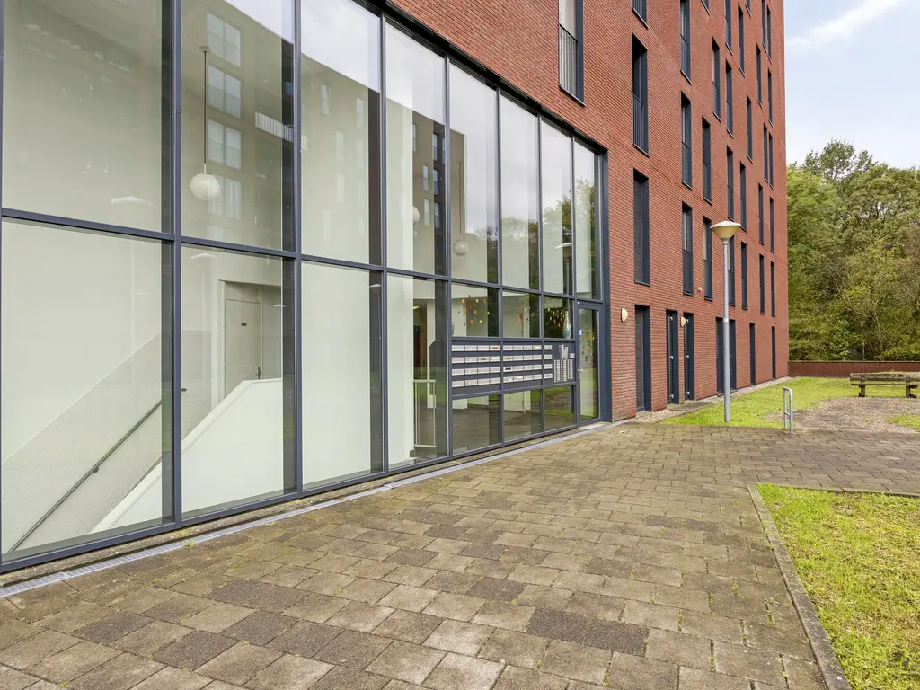 Wijnruitstraat 381, Hoogvliet