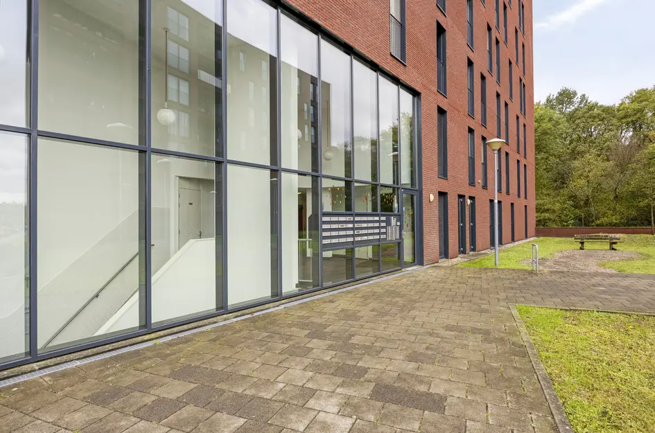 Wijnruitstraat 381