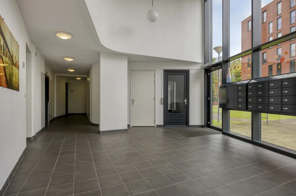 Wijnruitstraat 381