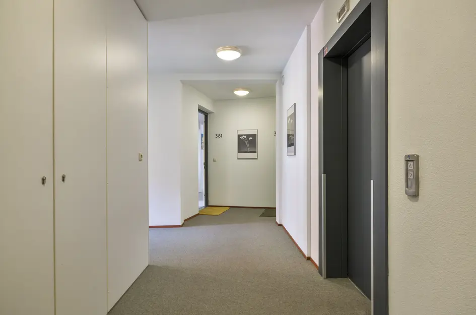Wijnruitstraat 381