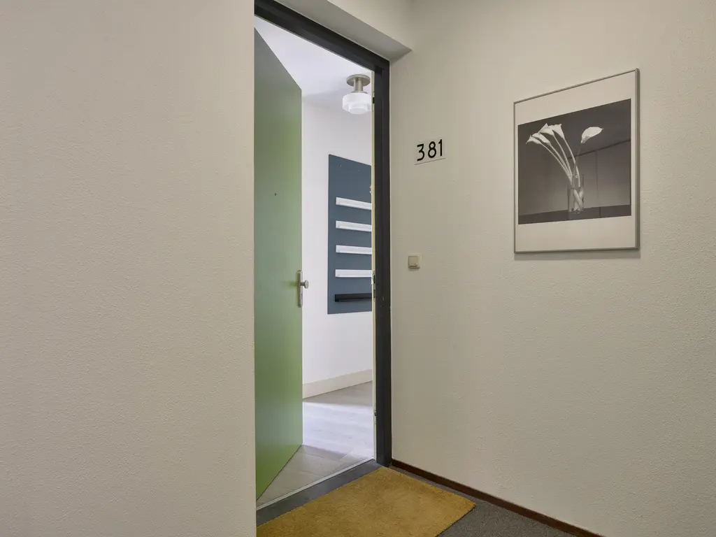 Wijnruitstraat 381, Hoogvliet