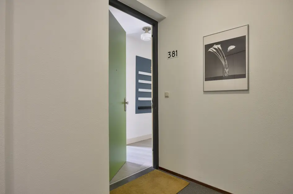 Wijnruitstraat 381