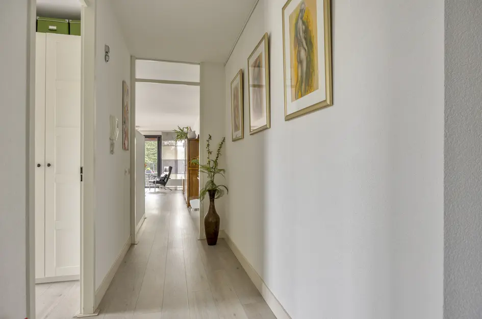 Wijnruitstraat 381