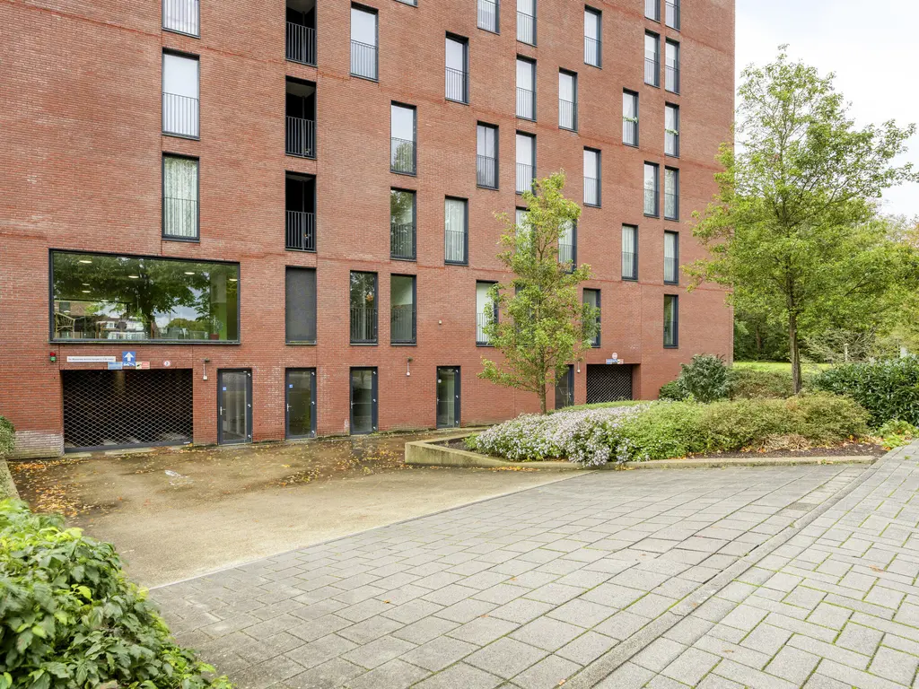 Wijnruitstraat 381, Hoogvliet