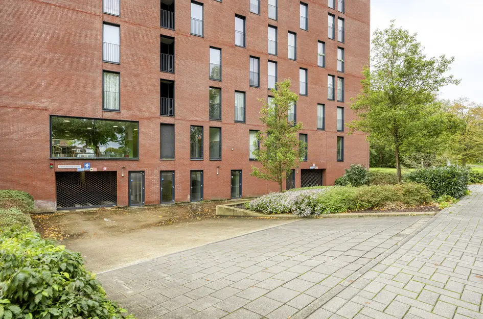 Wijnruitstraat 381