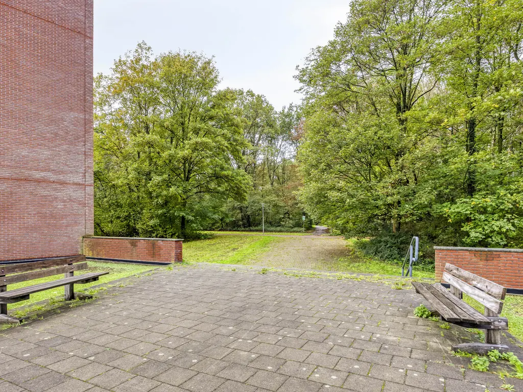 Wijnruitstraat 381, Hoogvliet