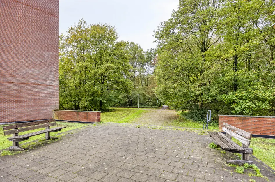 Wijnruitstraat 381