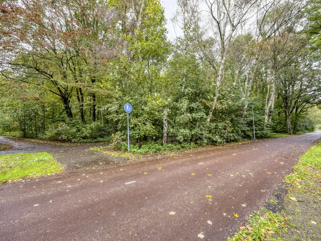Wijnruitstraat 381, Hoogvliet