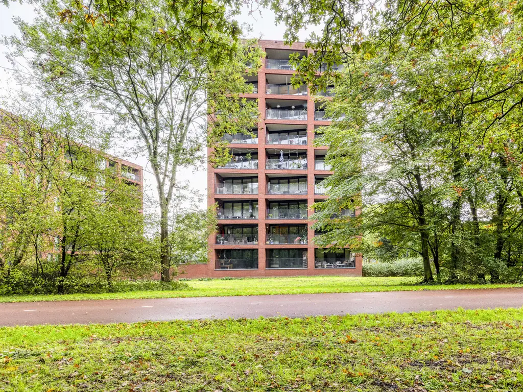 Wijnruitstraat 381, Hoogvliet