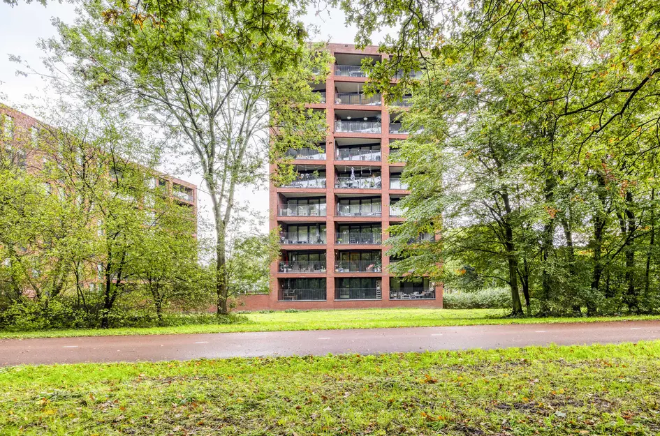Wijnruitstraat 381