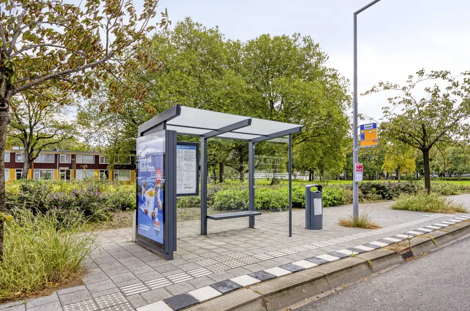 Wijnruitstraat 381