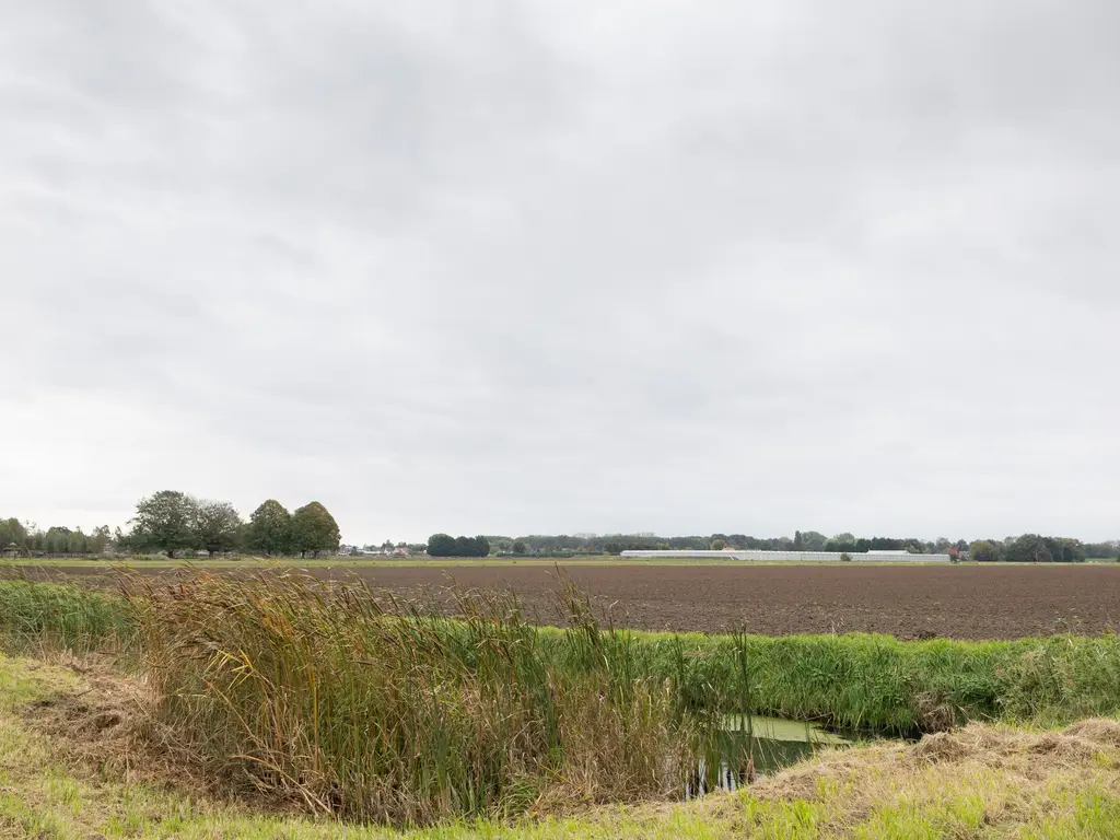 Werkersdijk 22a, Rhoon