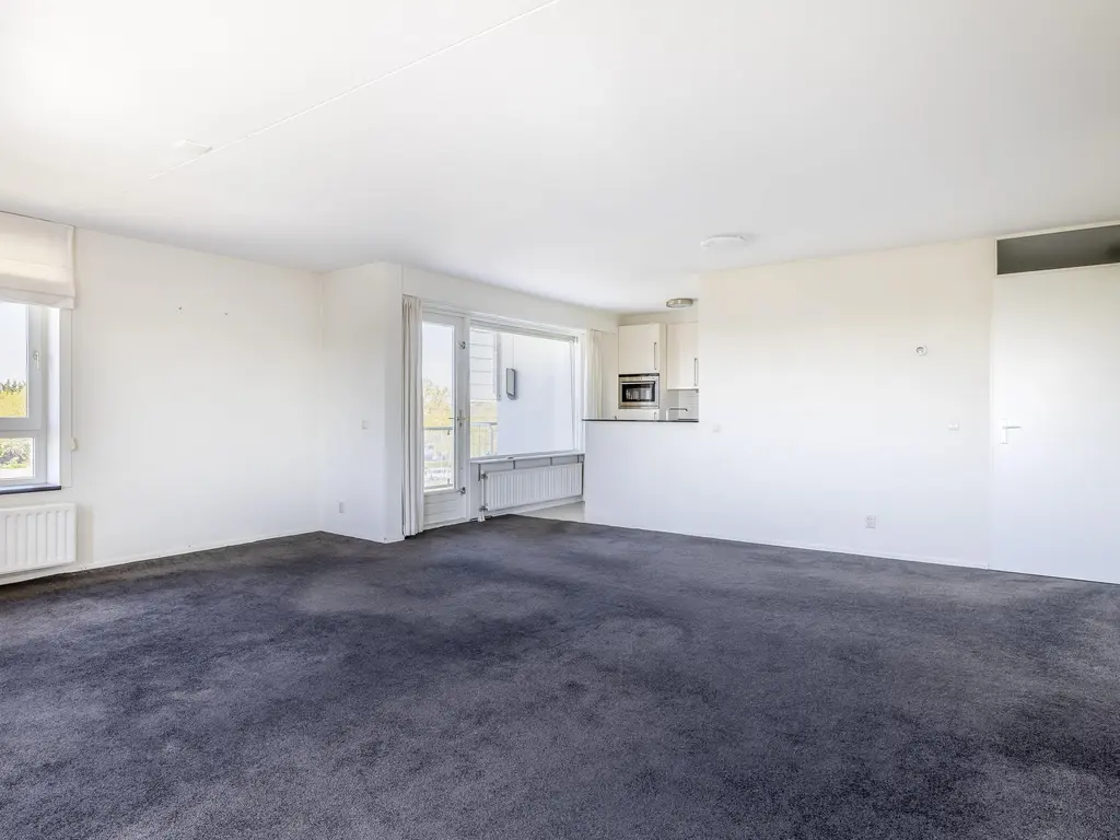 Honte 402, BRIELLE