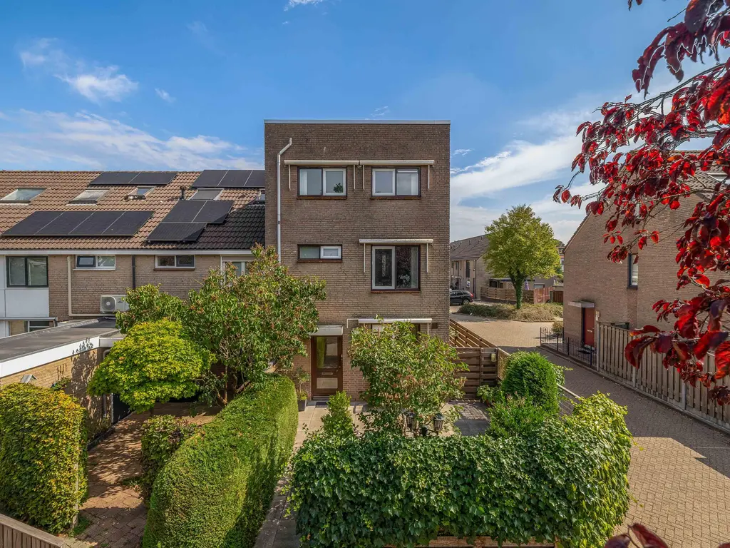 Dissel 29, BRIELLE